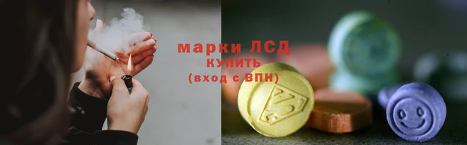 PSILOCYBIN Магас