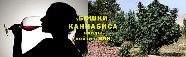 PSILOCYBIN Магас